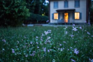 Probleme frecvente cu dispozitivele smart home și soluții rapide