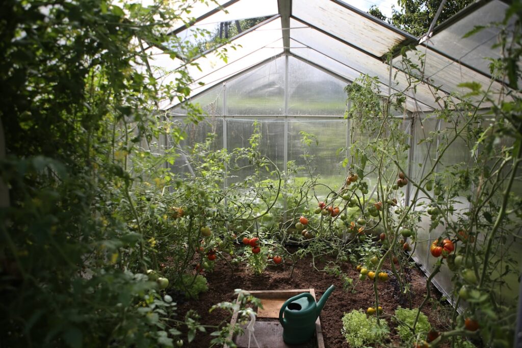 Cum să creezi o atmosferă de poveste în grădina ta