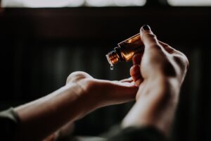 5 plante care se îngrijesc singure (perfecte pentru călătorii)