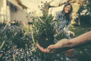 Grădini boho-chic: inspirație pentru decor și amenajare