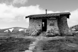 Cum folosești elementele naturale pentru decorarea grădinii