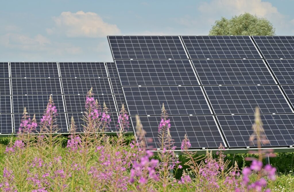 Tot ce trebuie să știi despre energia solară pentru acasă