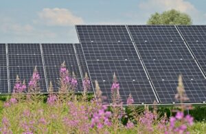 Tot ce trebuie să știi despre energia solară pentru acasă