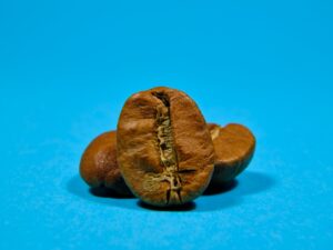 Cele mai bune semințe pentru grădina ta de legume