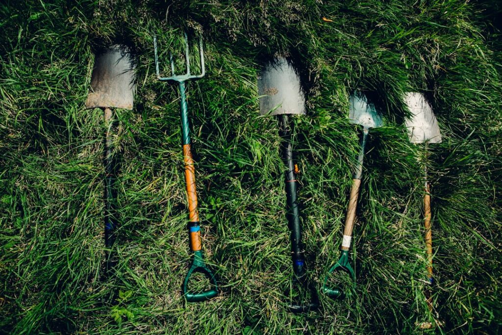 Top 10 îngrășăminte naturale pe care le poțI face acasă