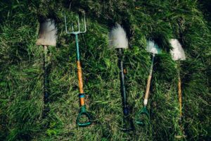 Top 10 îngrășăminte naturale pe care le poțI face acasă