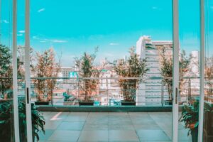 Top 15 plante de balcon care supraviețuiesc șI în soare puternic