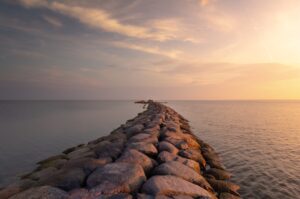 Top 7 tipuri de pardoseli recomandate pentru fiecare cameră