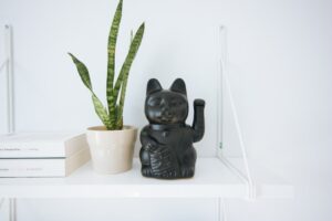 Cele mai bune cărți de amenajare și design interior