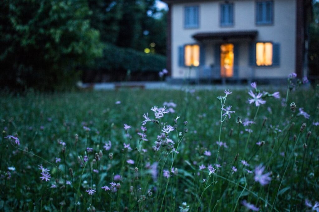 Cum să alegi dispozitive smart compatibile cu ecosistemul Apple HomeKit