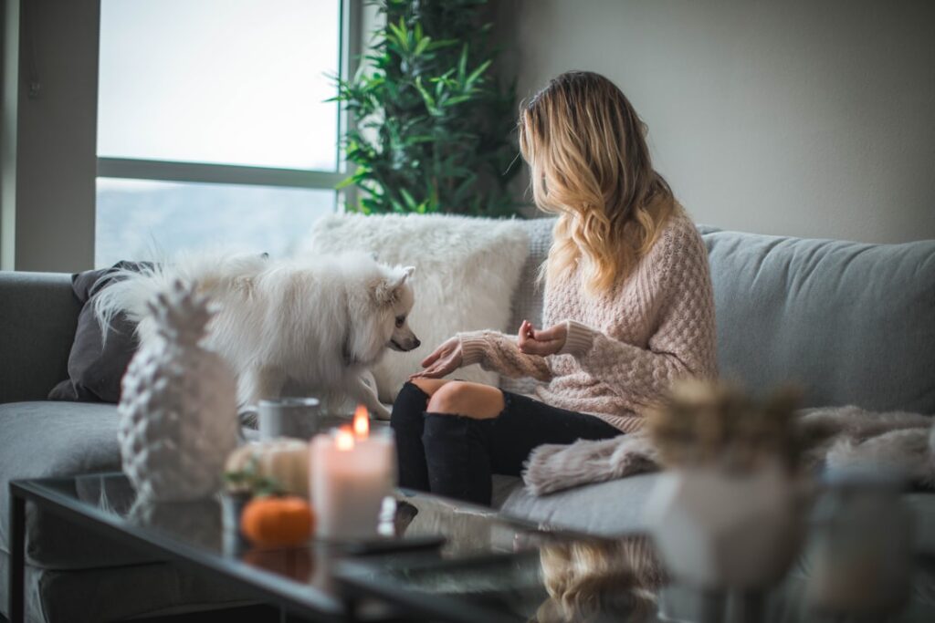 Cum să integrezi alarma casei în sistemul smart home