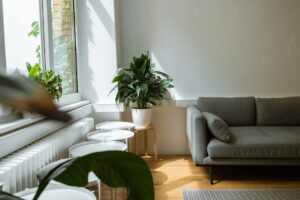Viața slow living: cum o aplici în locuința ta